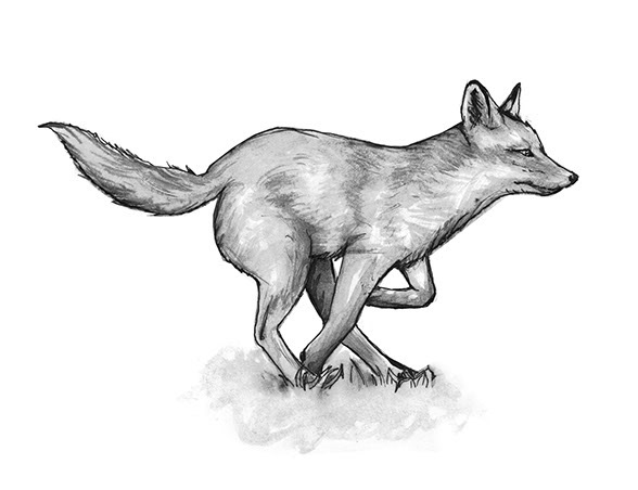 Illustration from Run with the Wind