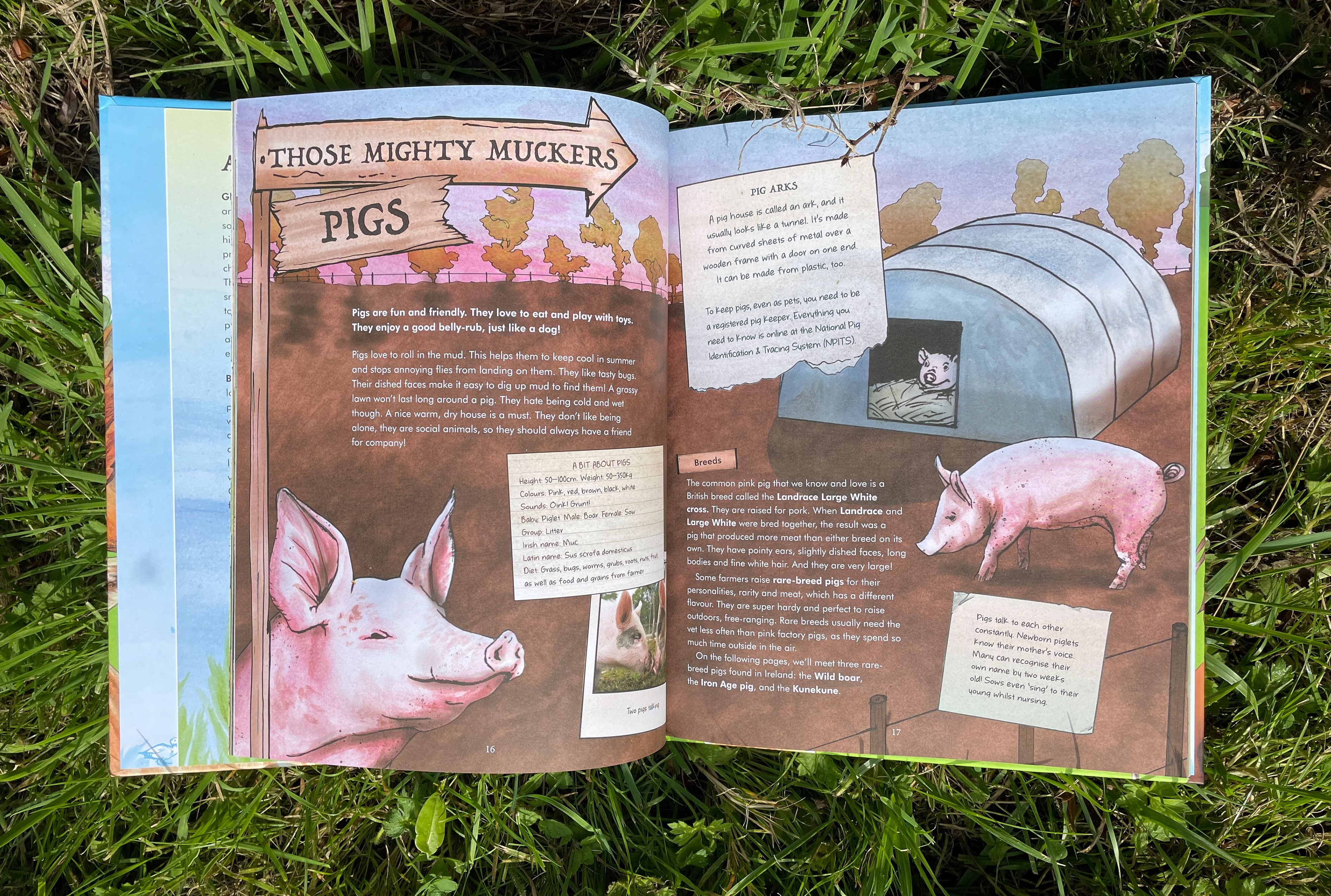 Spread from Irish Farm Animals