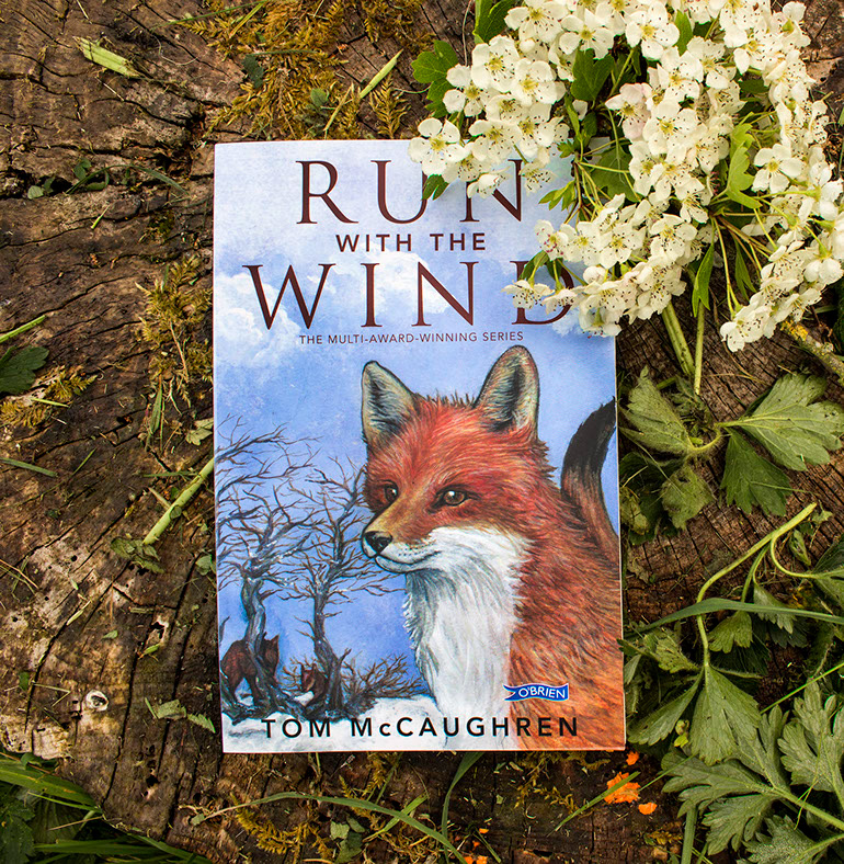 Run with the Wind book cover